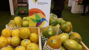 papaya
