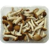 bolets2