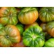TOMATE RAF