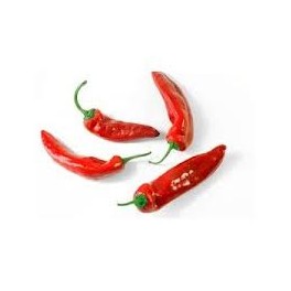 PIMIENTO SECAR