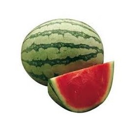 SANDIA RALLADA