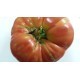 TOMATE ROSA
