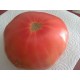 TOMATE ROSA