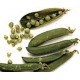 GUISANTES KILO