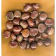 CASTAÑAS