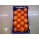 NARANJAS SELECCION 5 KILOS