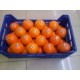 NARANJAS SELECCION 5 KILOS