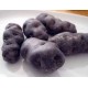 PATATA VIOLETA