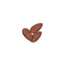 ALMENDRA CRUDA CON PIEL