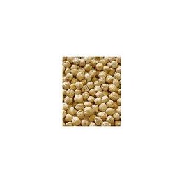 GARBANZOS XL (KILO)