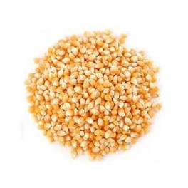 MAIZ PALOMITAS