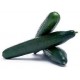 PEPINO HOLANDES
