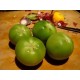 TOMATE