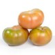 TOMATE