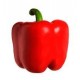 PIMIENTO ROJO K