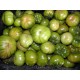 TOMATE RAF