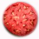 TOMATE ROSA