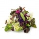 MEZCLUM FLORETTE