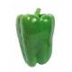 PIMIENTO VERDE UD