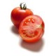 TOMATE DANIELA