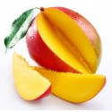 MANGO CIELO 2 PIEZAS