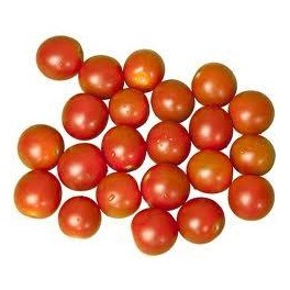 LOBELLO