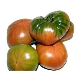 TOMATE ALICANTE RAF