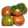 TOMATE ALICANTE RAF