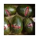 MELON BOLLO ETIQUETA NEGRA
