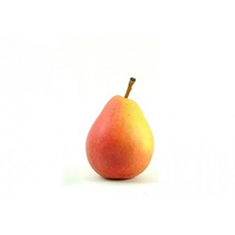 PERA ERCOLINA