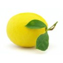LIMON IMPORT