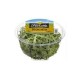 RUCULA FLORETTE