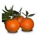 CLEMENTINAS VALENCIANAS 2 KILOS