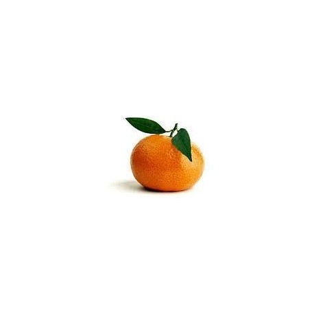 CLEMENTINA NATURAL XL