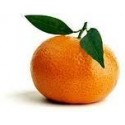 CLEMENTINAS VALENCIANAS
