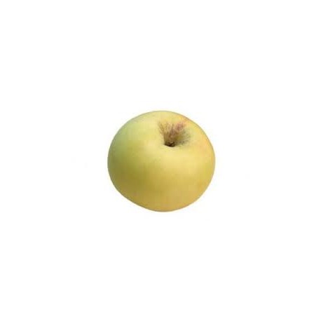 MANZANA GRANNY SMIT