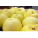 MANZANA GRANNY SMIT