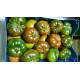 TOMATE RAF