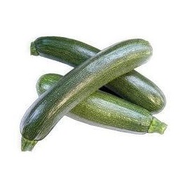 CALABACIN VERDE Ud