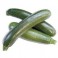 CALABACIN VERDE Ud