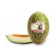 MELON EL ABUELO