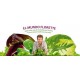 FLORETTE PRIMEROS BROTES