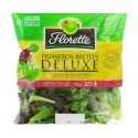 FLORETTE PRIMEROS BROTES