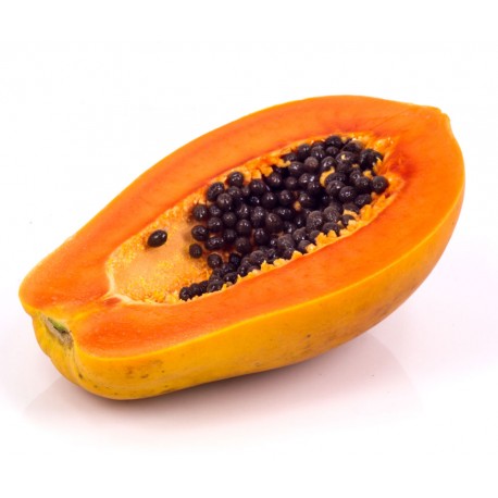 PAPAYA CANARIA XXL