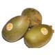 KIWI GOLD XL
