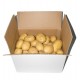 PATATA BLANCA 10 KILOS