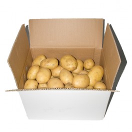 PATATA BLANCA 10 KILOS
