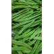 JUDIA VERDE