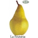 PERA ALEJANDRINA UNIDAD