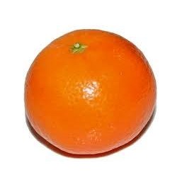 CLEMENTINAS ORRI
